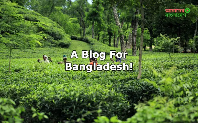 A-Blog-For-Bangladesh